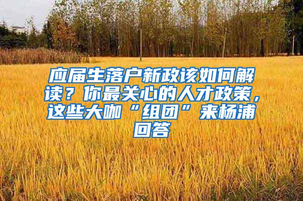 应届生落户新政该如何解读？你最关心的人才政策，这些大咖“组团”来杨浦回答