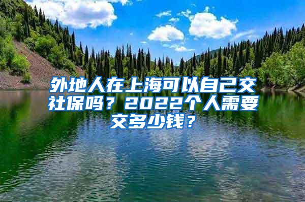 外地人在上海可以自己交社保吗？2022个人需要交多少钱？