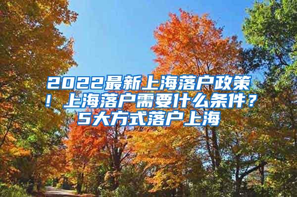 2022最新上海落户政策！上海落户需要什么条件？5大方式落户上海