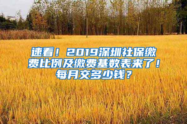 速看！2019深圳社保缴费比例及缴费基数表来了！每月交多少钱？