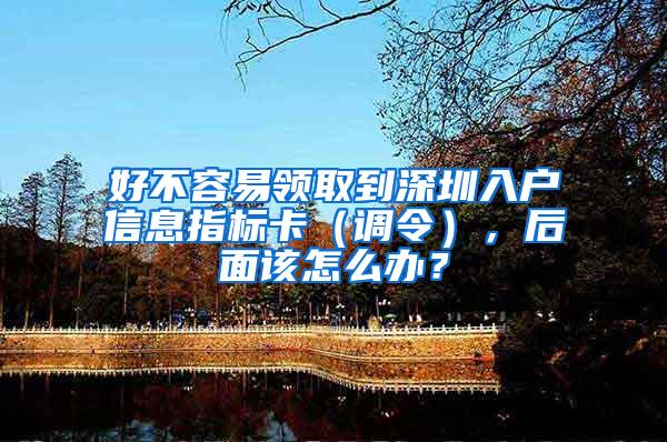 好不容易领取到深圳入户信息指标卡（调令），后面该怎么办？