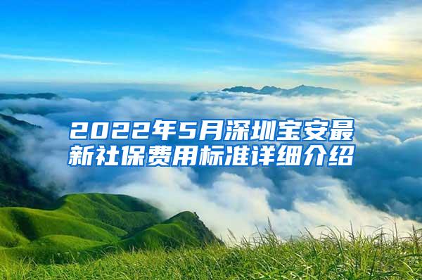 2022年5月深圳宝安最新社保费用标准详细介绍