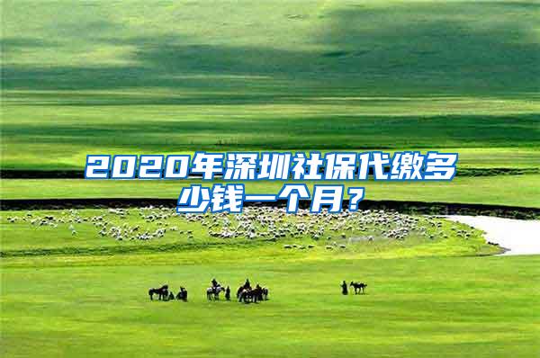 2020年深圳社保代缴多少钱一个月？