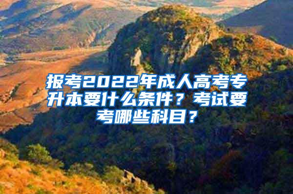 报考2022年成人高考专升本要什么条件？考试要考哪些科目？