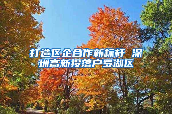 打造区企合作新标杆 深圳高新投落户罗湖区