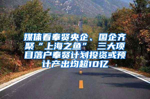 媒体看奉贤央企、国企齐聚“上海之鱼” 三大项目落户奉贤计划投资或预计产出均超10亿