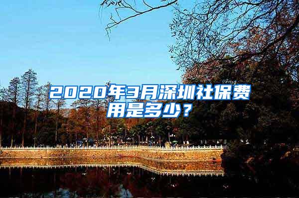 2020年3月深圳社保费用是多少？