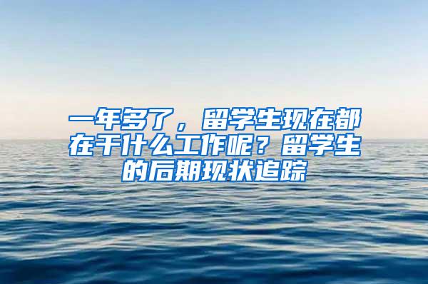 一年多了，留学生现在都在干什么工作呢？留学生的后期现状追踪