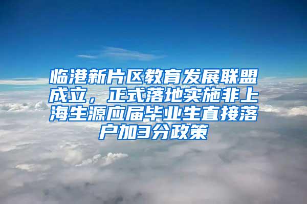 临港新片区教育发展联盟成立，正式落地实施非上海生源应届毕业生直接落户加3分政策