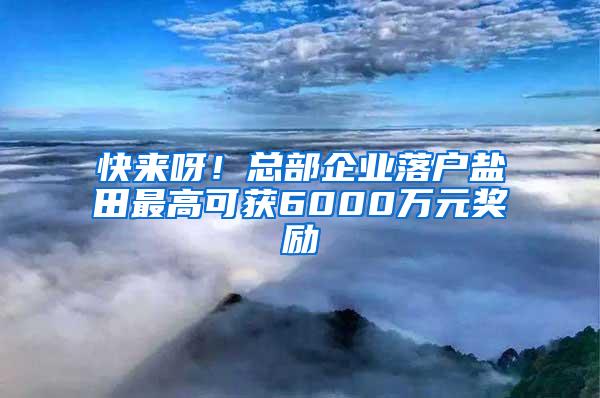 快来呀！总部企业落户盐田最高可获6000万元奖励