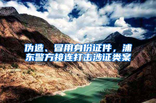 伪造、冒用身份证件，浦东警方接连打击涉证类案