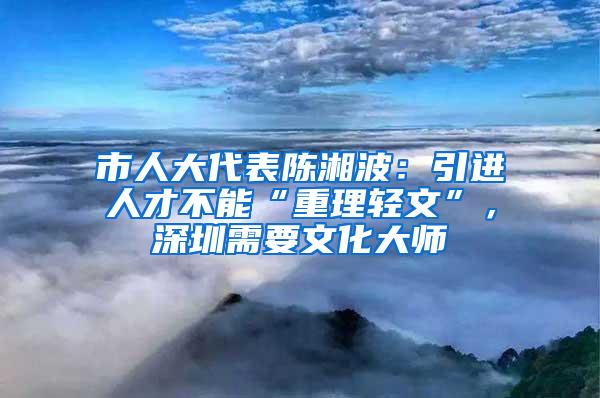 市人大代表陈湘波：引进人才不能“重理轻文”，深圳需要文化大师