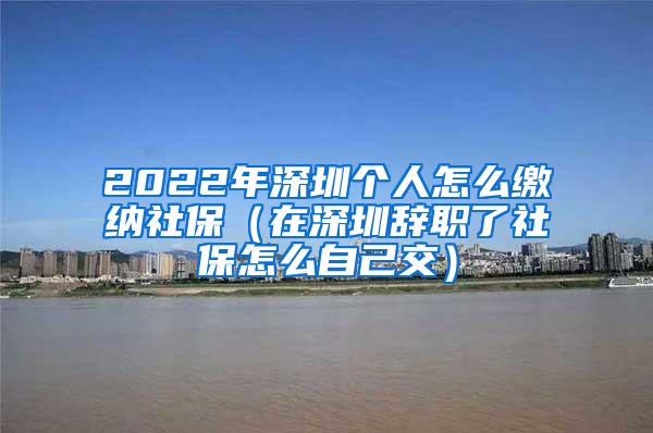 2022年深圳个人怎么缴纳社保（在深圳辞职了社保怎么自己交）