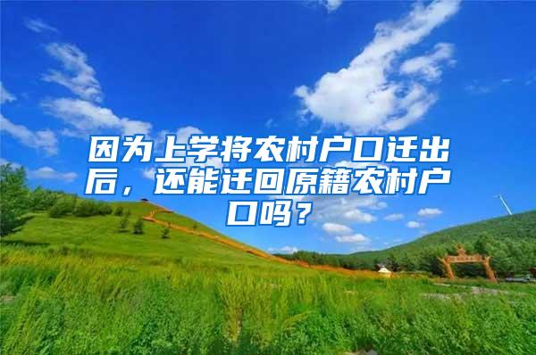 因为上学将农村户口迁出后，还能迁回原籍农村户口吗？