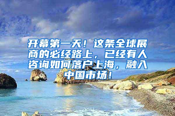 开幕第一天！这条全球展商的必经路上，已经有人咨询如何落户上海，融入中国市场！