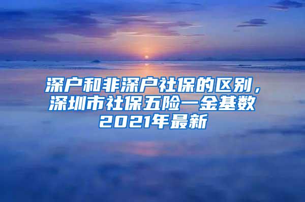 深户和非深户社保的区别，深圳市社保五险一金基数2021年最新