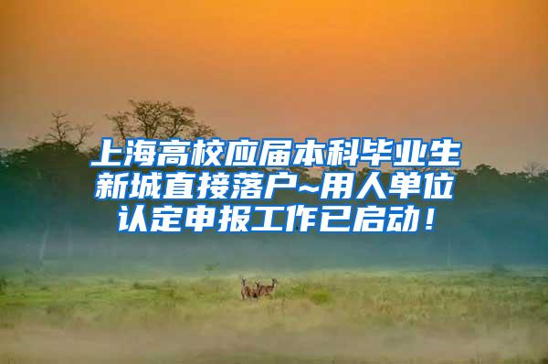 上海高校应届本科毕业生新城直接落户~用人单位认定申报工作已启动！