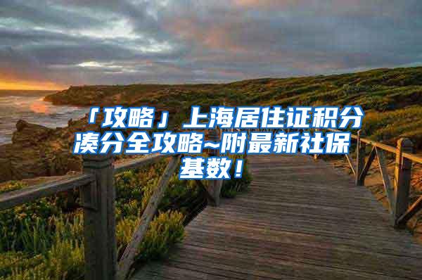 「攻略」上海居住证积分凑分全攻略~附最新社保基数！