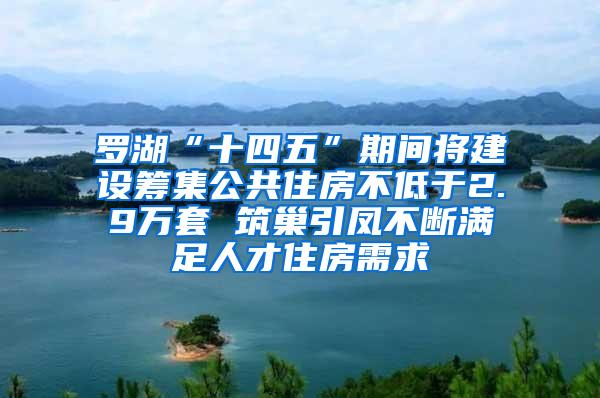 罗湖“十四五”期间将建设筹集公共住房不低于2.9万套 筑巢引凤不断满足人才住房需求