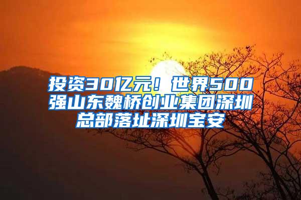 投资30亿元！世界500强山东魏桥创业集团深圳总部落址深圳宝安