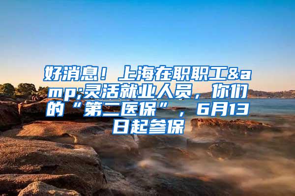 好消息！上海在职职工&灵活就业人员，你们的“第二医保”，6月13日起参保