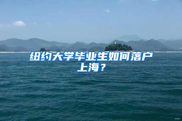 纽约大学毕业生如何落户上海？