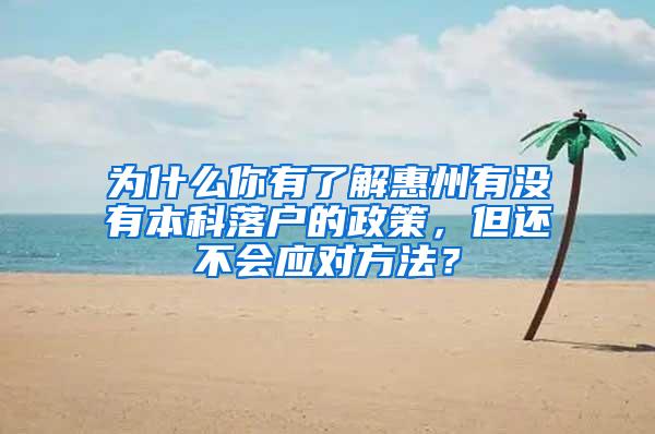 为什么你有了解惠州有没有本科落户的政策，但还不会应对方法？