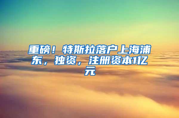 重磅!特斯拉落户上海浦东,独资,注册资本1亿元