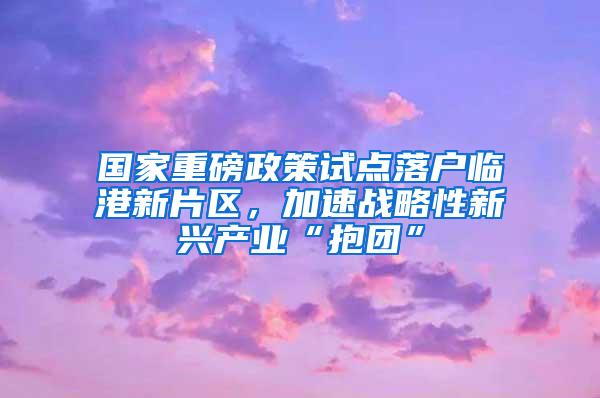 国家重磅政策试点落户临港新片区，加速战略性新兴产业“抱团”