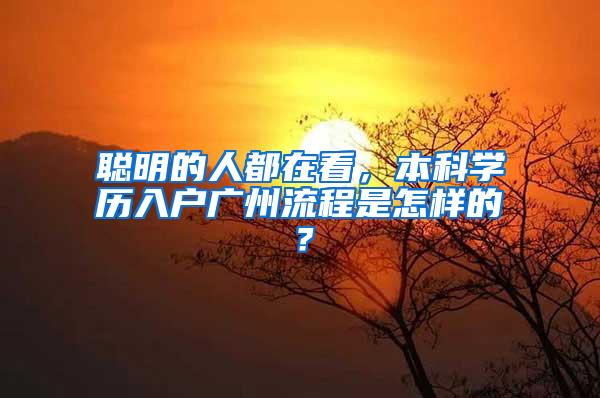 聪明的人都在看，本科学历入户广州流程是怎样的？