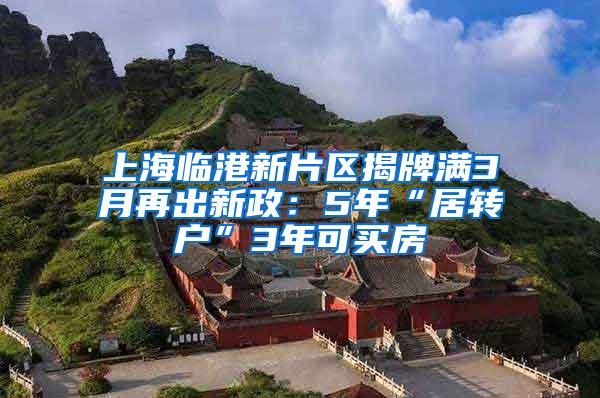 上海临港新片区揭牌满3月再出新政：5年“居转户”3年可买房