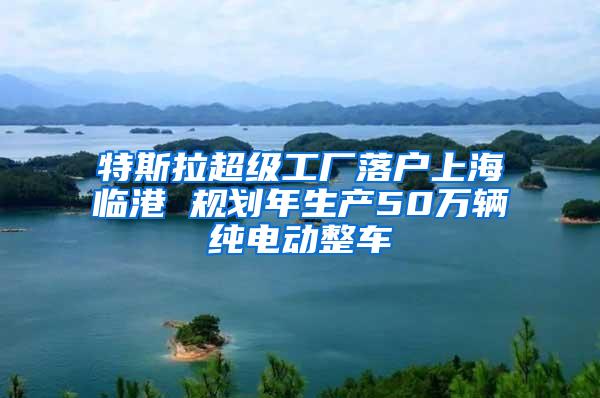 特斯拉超级工厂落户上海临港 规划年生产50万辆纯电动整车