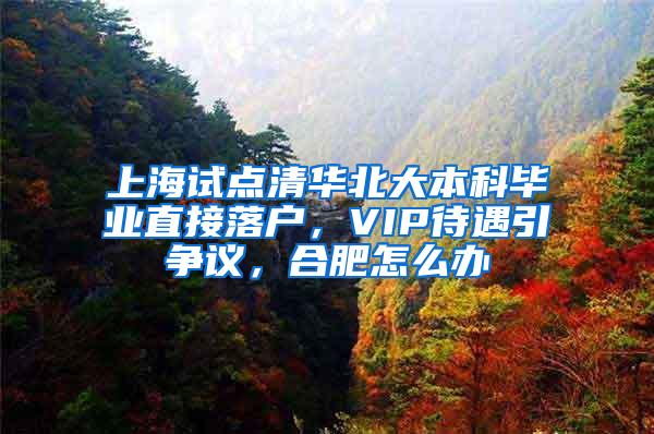 上海试点清华北大本科毕业直接落户，VIP待遇引争议，合肥怎么办