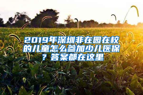 2019年深圳非在园在校的儿童怎么参加少儿医保？答案都在这里