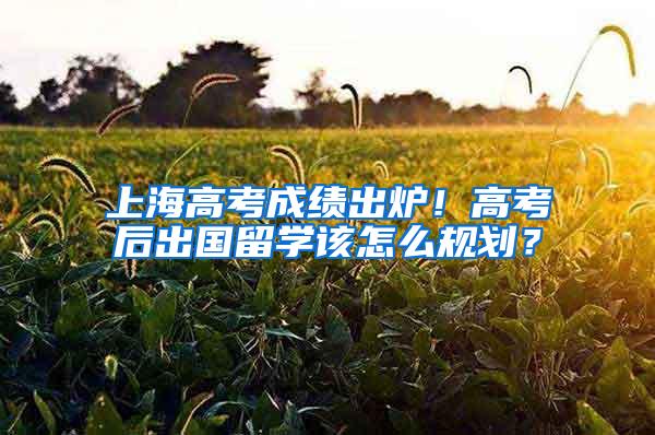 上海高考成绩出炉！高考后出国留学该怎么规划？