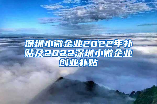 深圳小微企业2022年补贴及2022深圳小微企业创业补贴