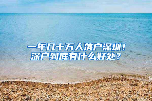 一年几十万人落户深圳！深户到底有什么好处？