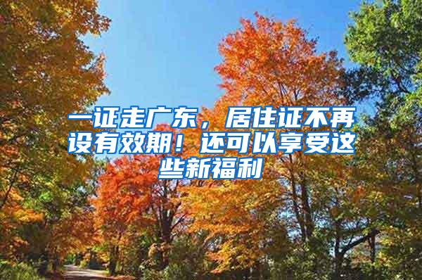 一证走广东，居住证不再设有效期！还可以享受这些新福利