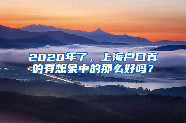 2020年了，上海户口真的有想象中的那么好吗？