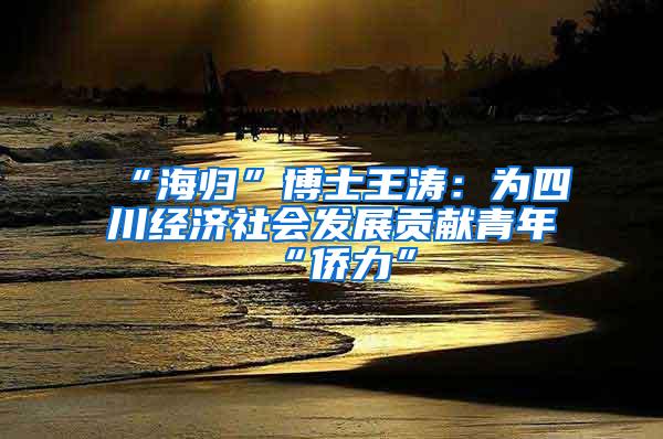 “海归”博士王涛：为四川经济社会发展贡献青年“侨力”