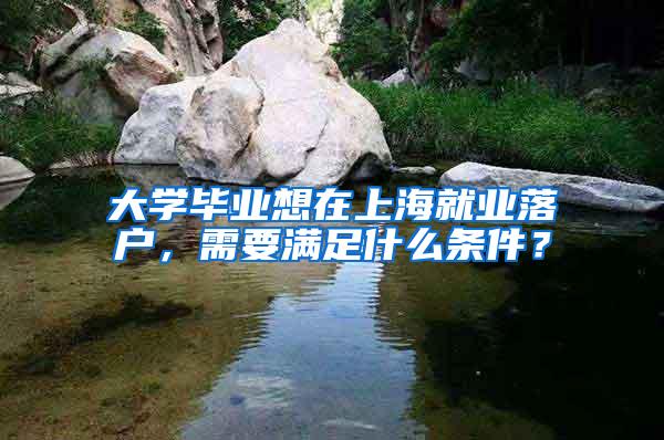 大学毕业想在上海就业落户，需要满足什么条件？