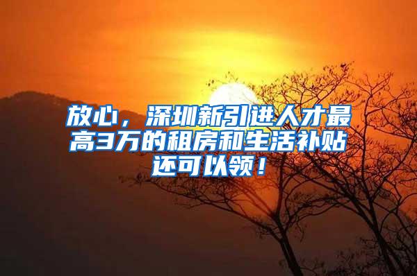 放心，深圳新引进人才最高3万的租房和生活补贴还可以领！