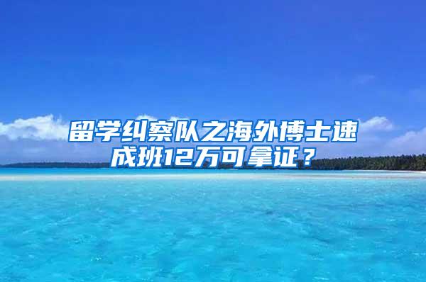 留学纠察队之海外博士速成班12万可拿证？