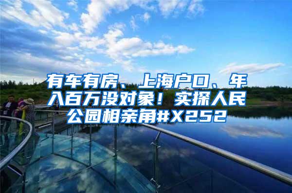 有车有房、上海户口、年入百万没对象！实探人民公园相亲角#X252