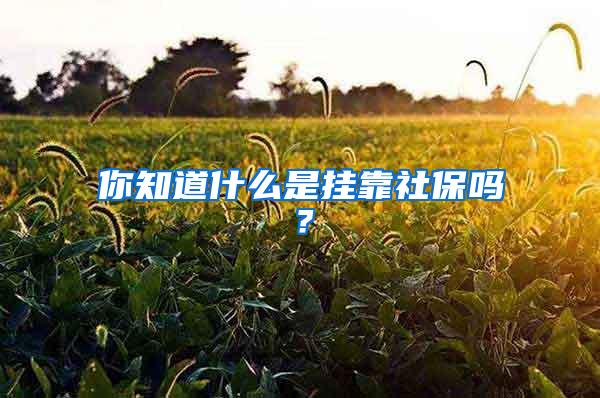 你知道什么是挂靠社保吗？