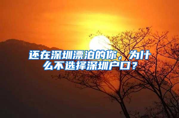 还在深圳漂泊的你，为什么不选择深圳户口？