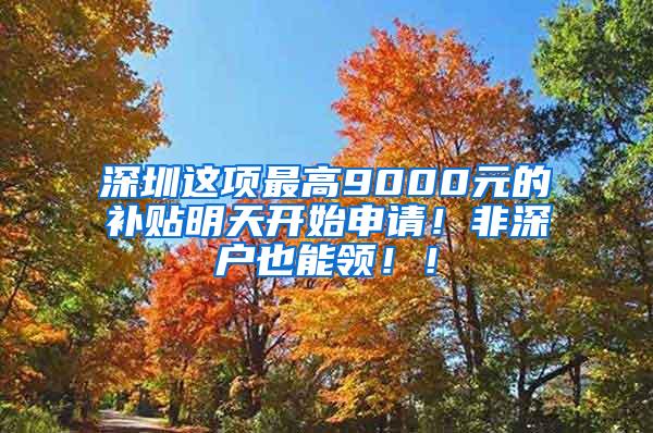 深圳这项最高9000元的补贴明天开始申请！非深户也能领！！