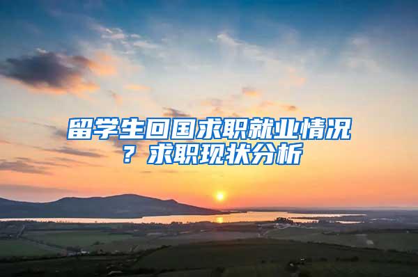 留学生回国求职就业情况？求职现状分析