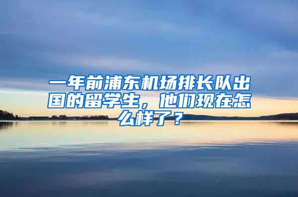 一年前浦东机场排长队出国的留学生，他们现在怎么样了？