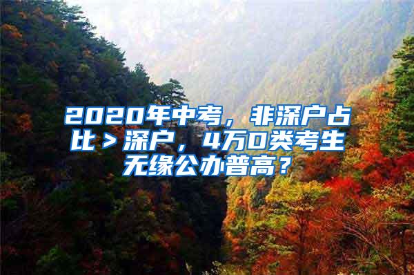 2020年中考，非深户占比＞深户，4万D类考生无缘公办普高？